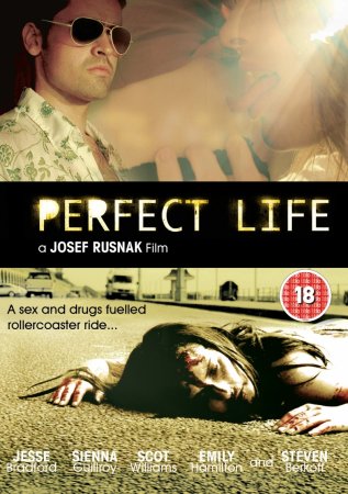 Идеальная жизнь / A Perfect Life (2011)